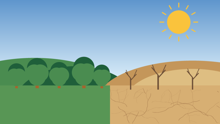 Our Climate Change Project: A Roadmap for Fighting Drought