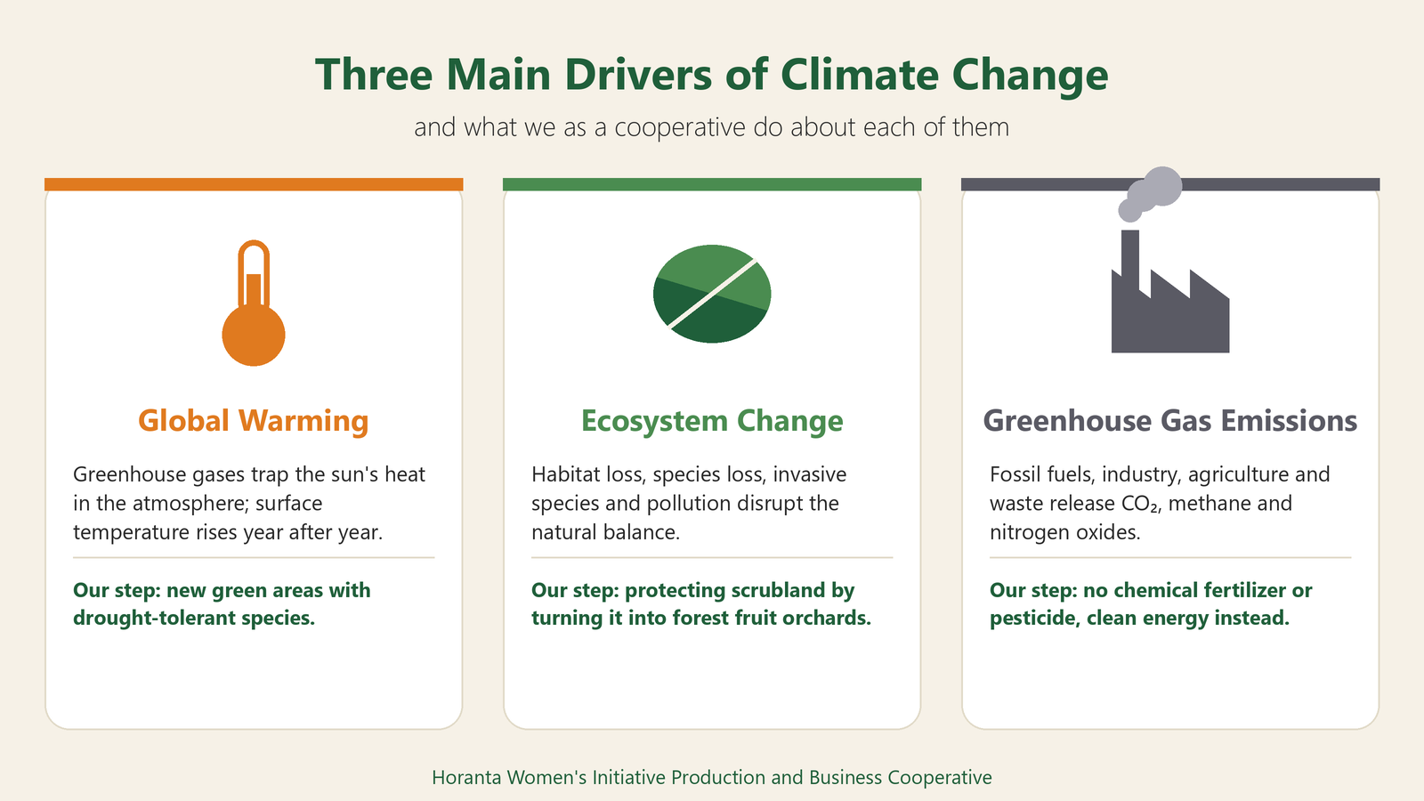 Global warming, ecosystem change and greenhouse gas emissions; we have our own step against each.