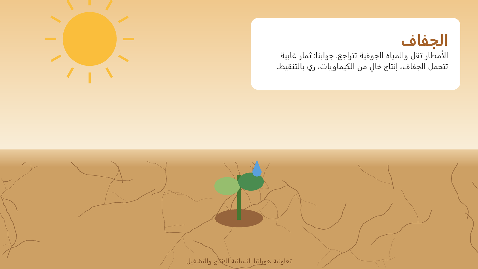 الأمطار تقل والآبار تزداد عمقاً. جوابنا: أنواع تتحمل الجفاف وإنتاج خالٍ من الكيماويات.