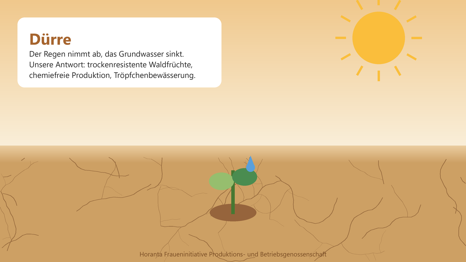 Der Regen nimmt ab, die Brunnen werden tiefer. Unsere Antwort: trockenresistente Arten und chemiefreie Produktion.