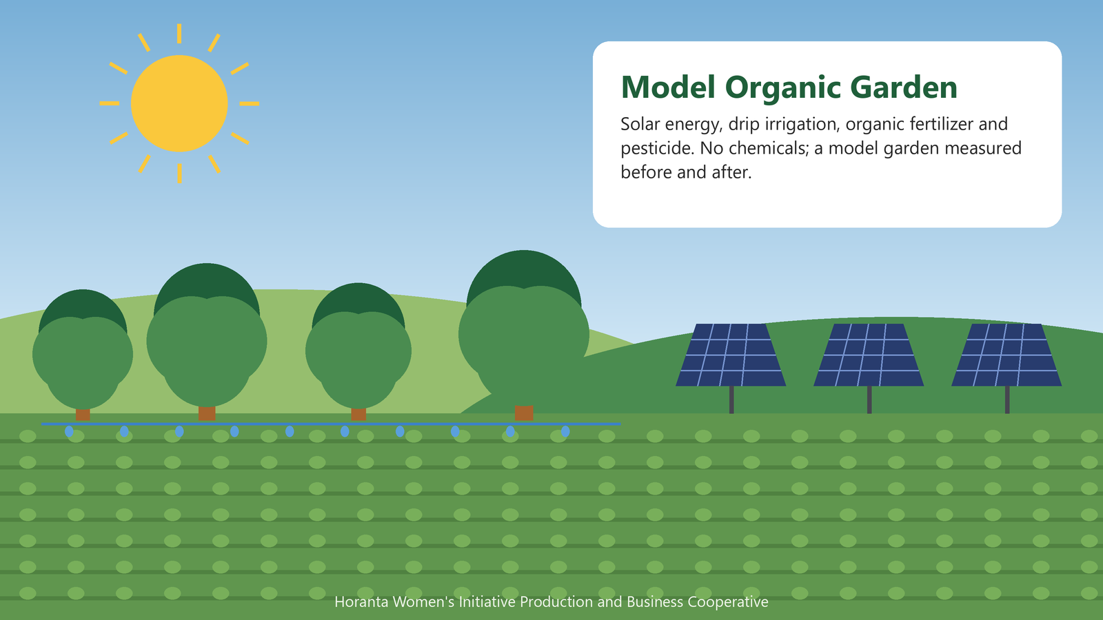 Model Organic Garden: solar energy, drip irrigation, organic fertilizer and pesticide; a model measured before and after.