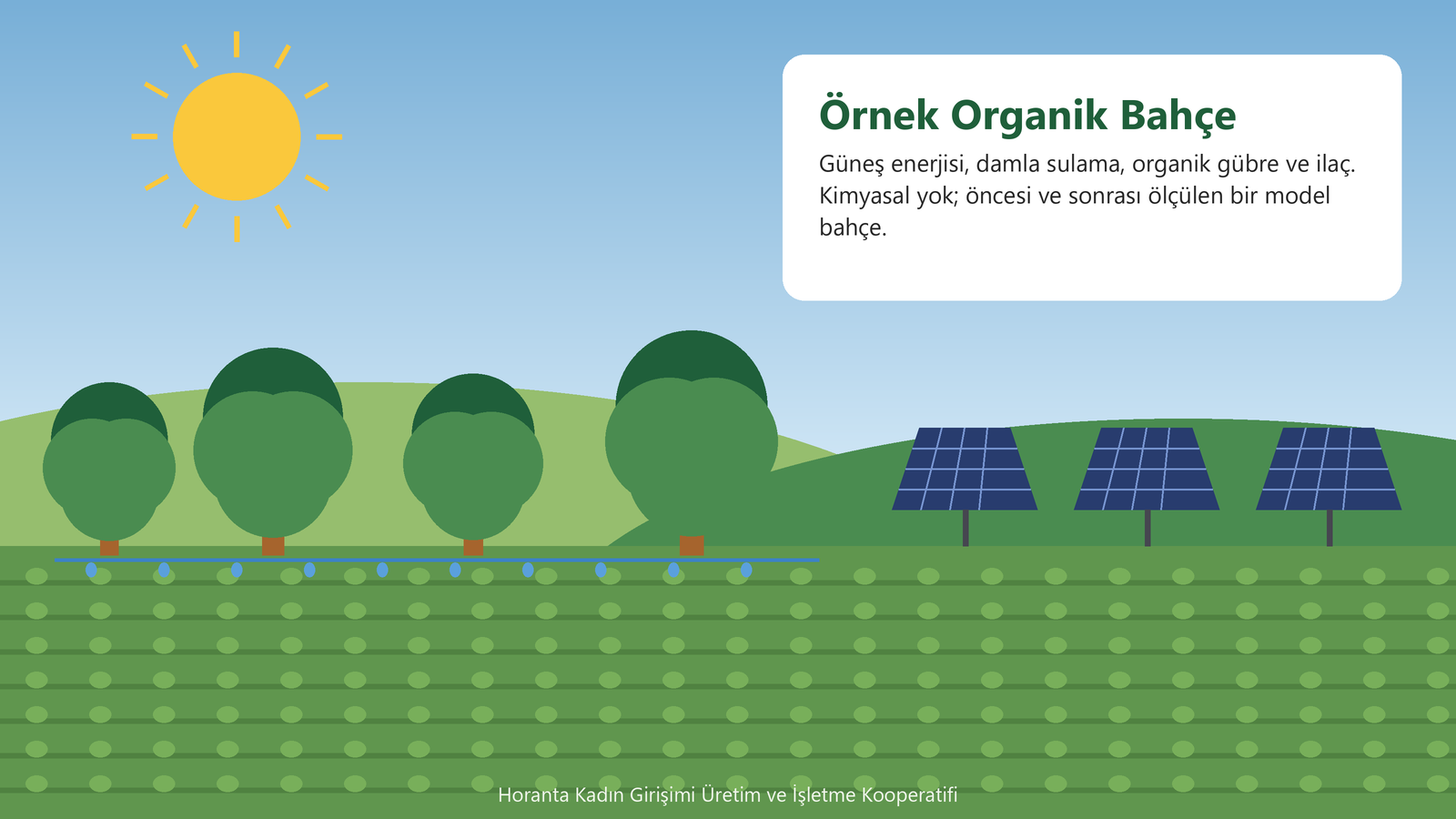 Örnek organik bahçe ve temiz enerji
