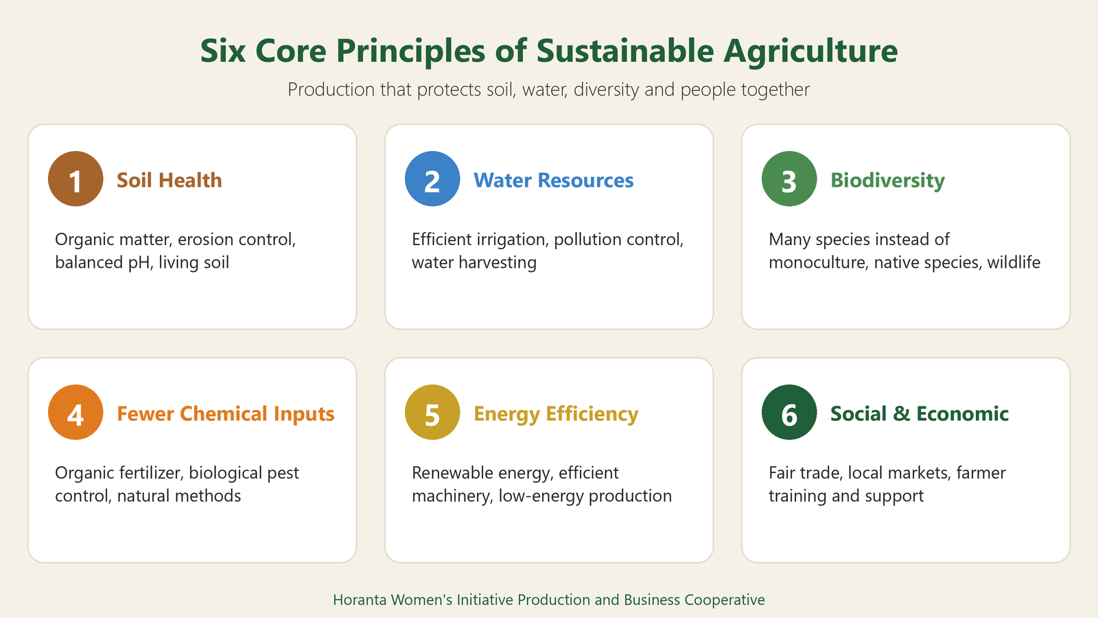 The six core principles of sustainable agriculture: soil, water, diversity, fewer chemicals, energy and people.