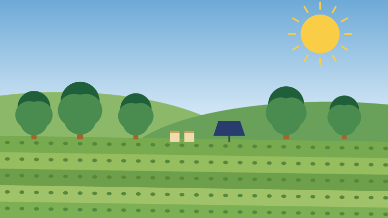 Sustainable Agriculture: Why We Were Founded, Where We Are Going