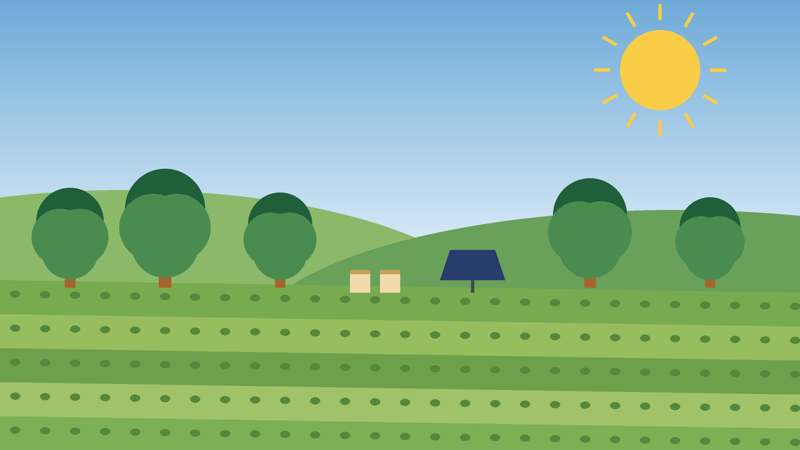 Sustainable Agriculture: Why We Were Founded, Where We Are Going