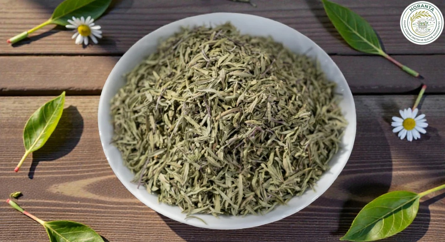 Organik-Kekik-Hatay-Dag-Horantakoop-3 Salamura Zahter ( Taze Kekik) (200 gr)