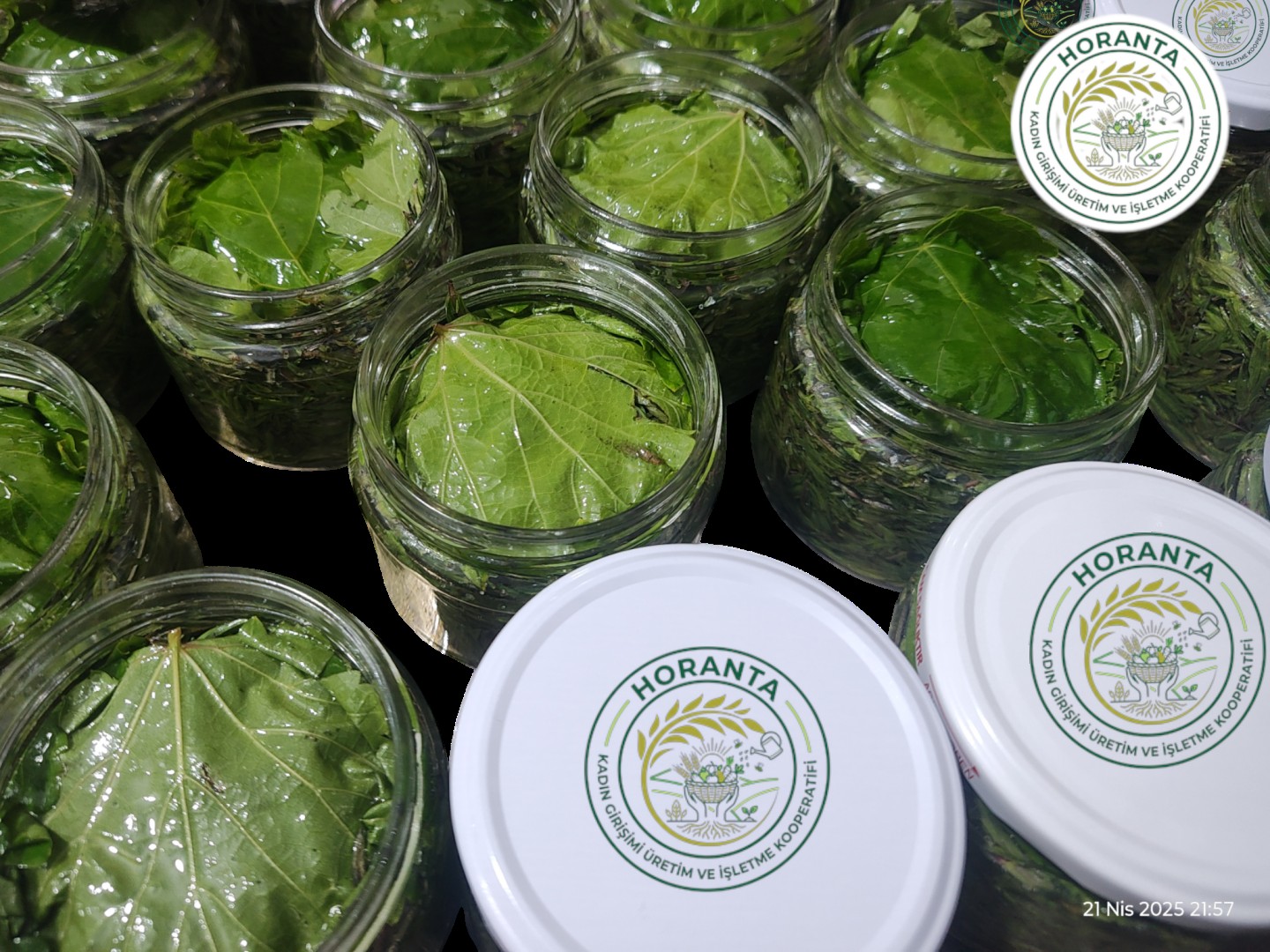 Organik-Kekik-Salamura-Horantakoop-2 Salamura Zahter ( Taze Kekik) (200 gr)