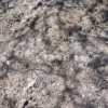 Zengin Karışımlı Orman Toprağı